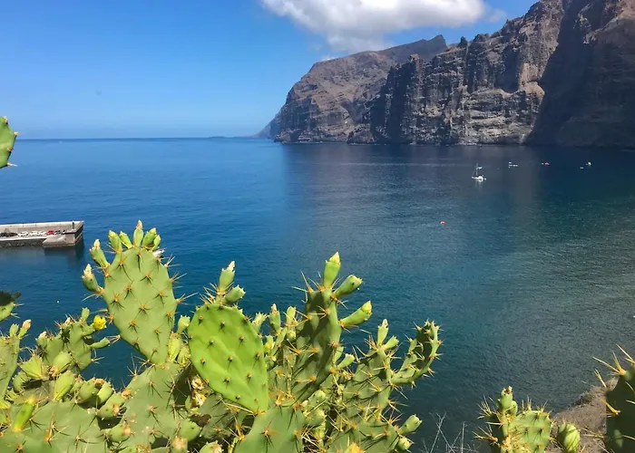 Apartment Theresa Gigantes Puerto de Santiago (Tenerife)